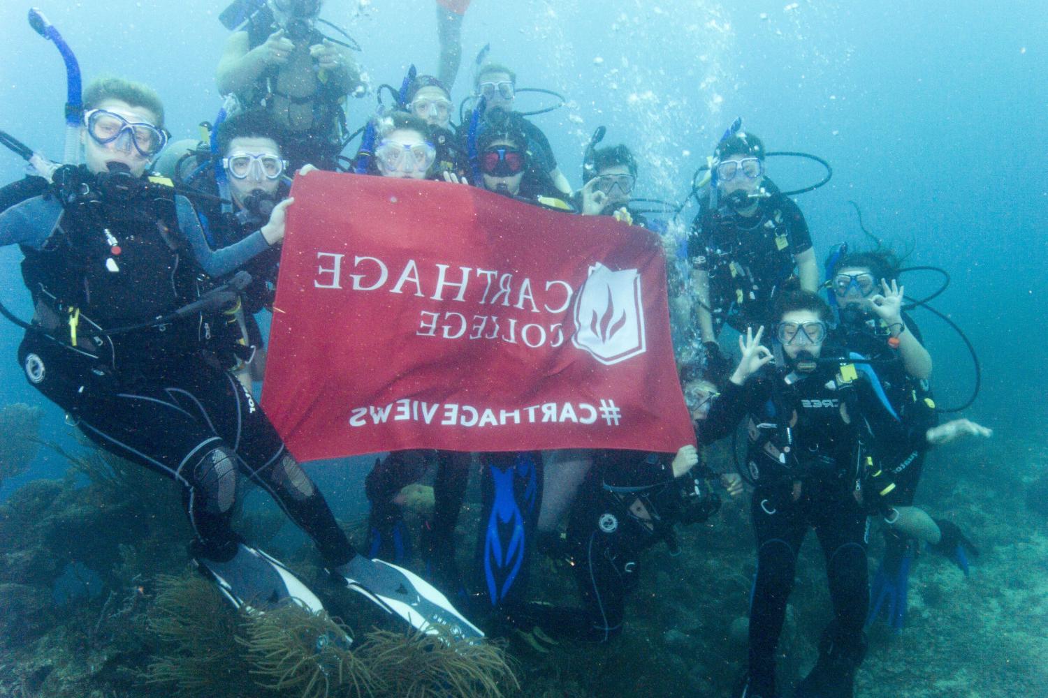 学生们手持<a href='http://wn1.hbwendu.org'>全球十大赌钱排行app</a>旗帜，在j学期洪都拉斯游学之旅中潜水.